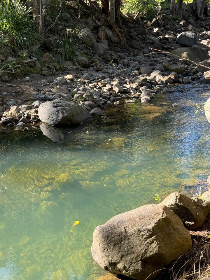 Wide creek and grazing hills at Tyungun Country Retreat