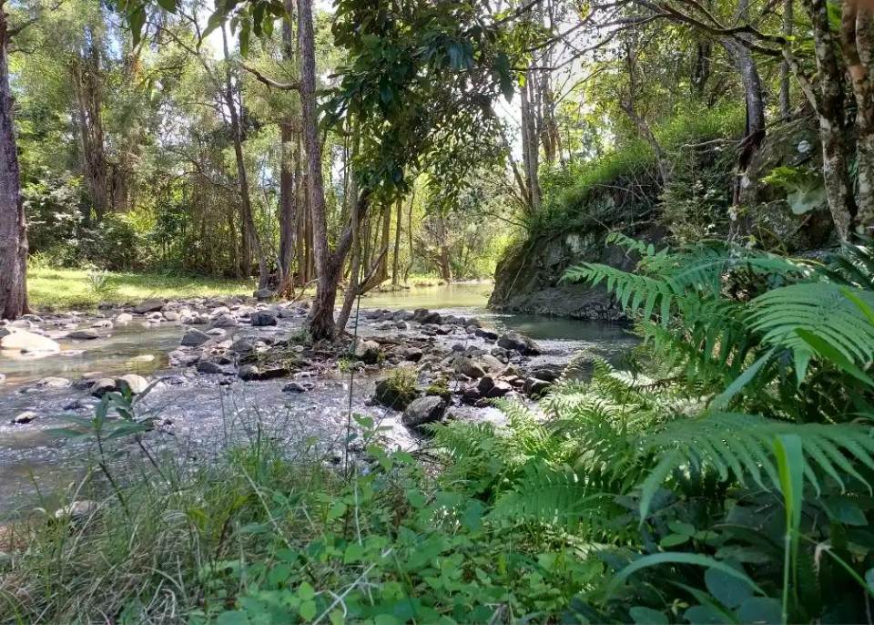 Flying Fox Creek winding through the rolling green hills of Tyungun
