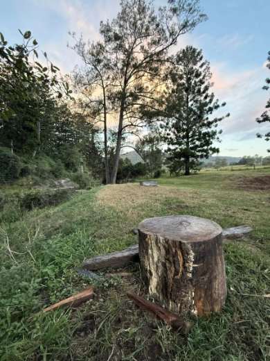 Twin Pines